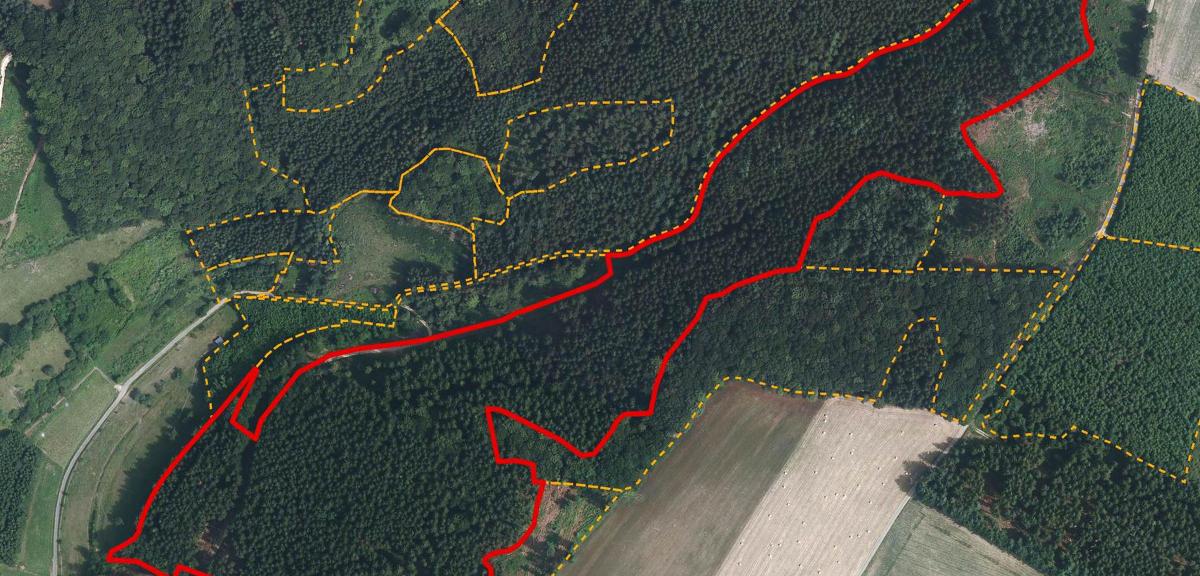 Forest Inventory of Private Forests