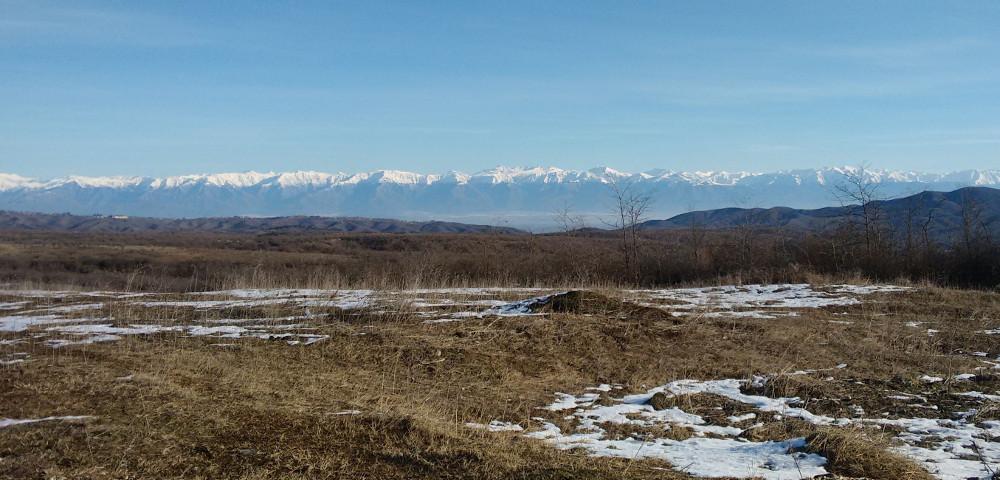 Forest Monitoring and Information System