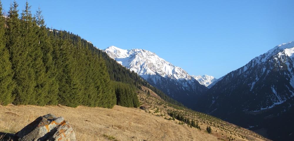 Integrative and Climate-Sensitive Land Use