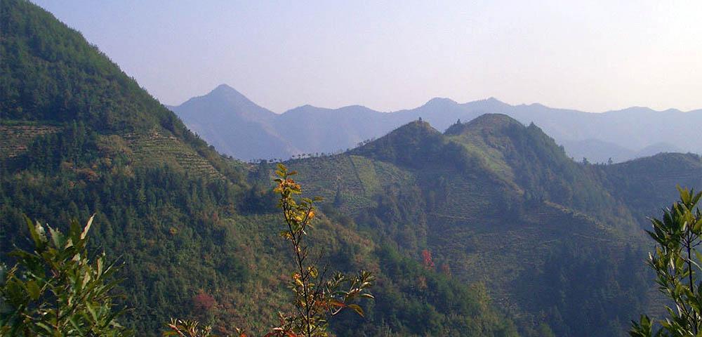 Low Carbon Land Use