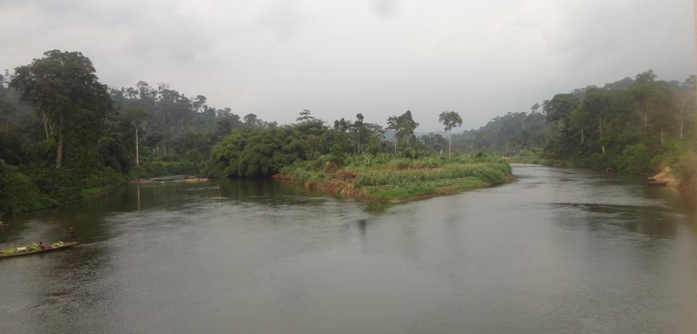Pre-Feasibility of a REDD+ Project