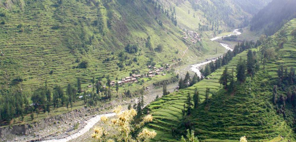 REDD+ Project Development in Community Forests