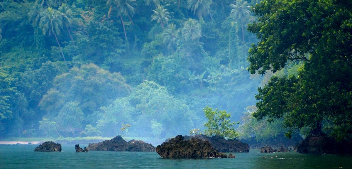 REDD+ Readiness Preparation Proposal Formulation