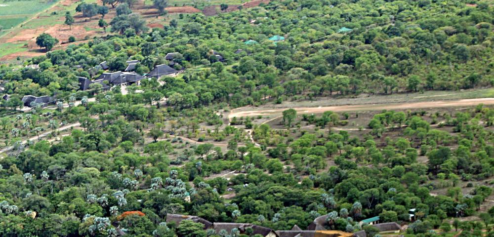REDD+ Support at Institutional and Governance Level