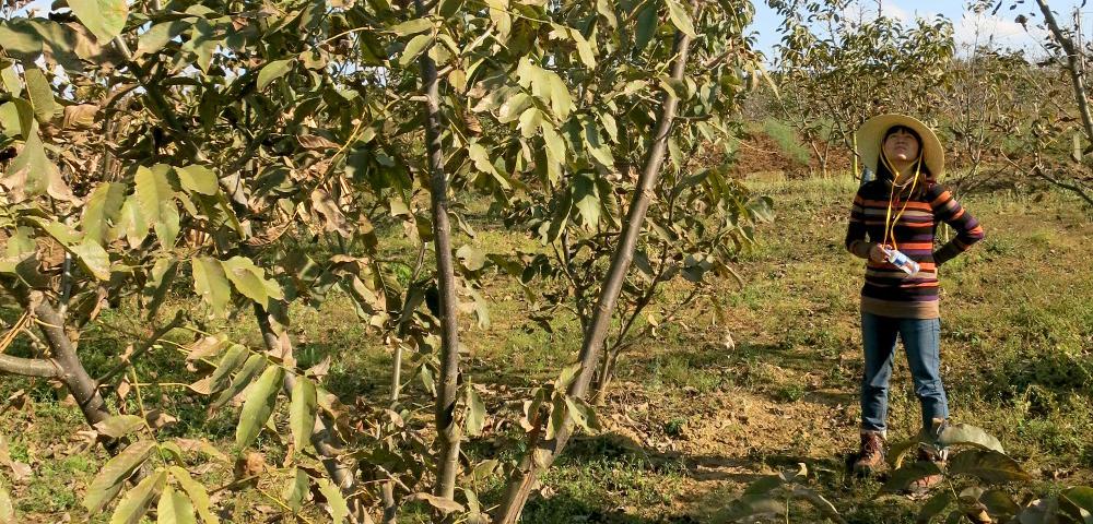 Rural Carbon Project Audit Mission in Yunnan