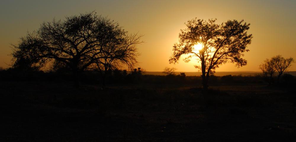 Support for project validation according to voluntary carbon standards
