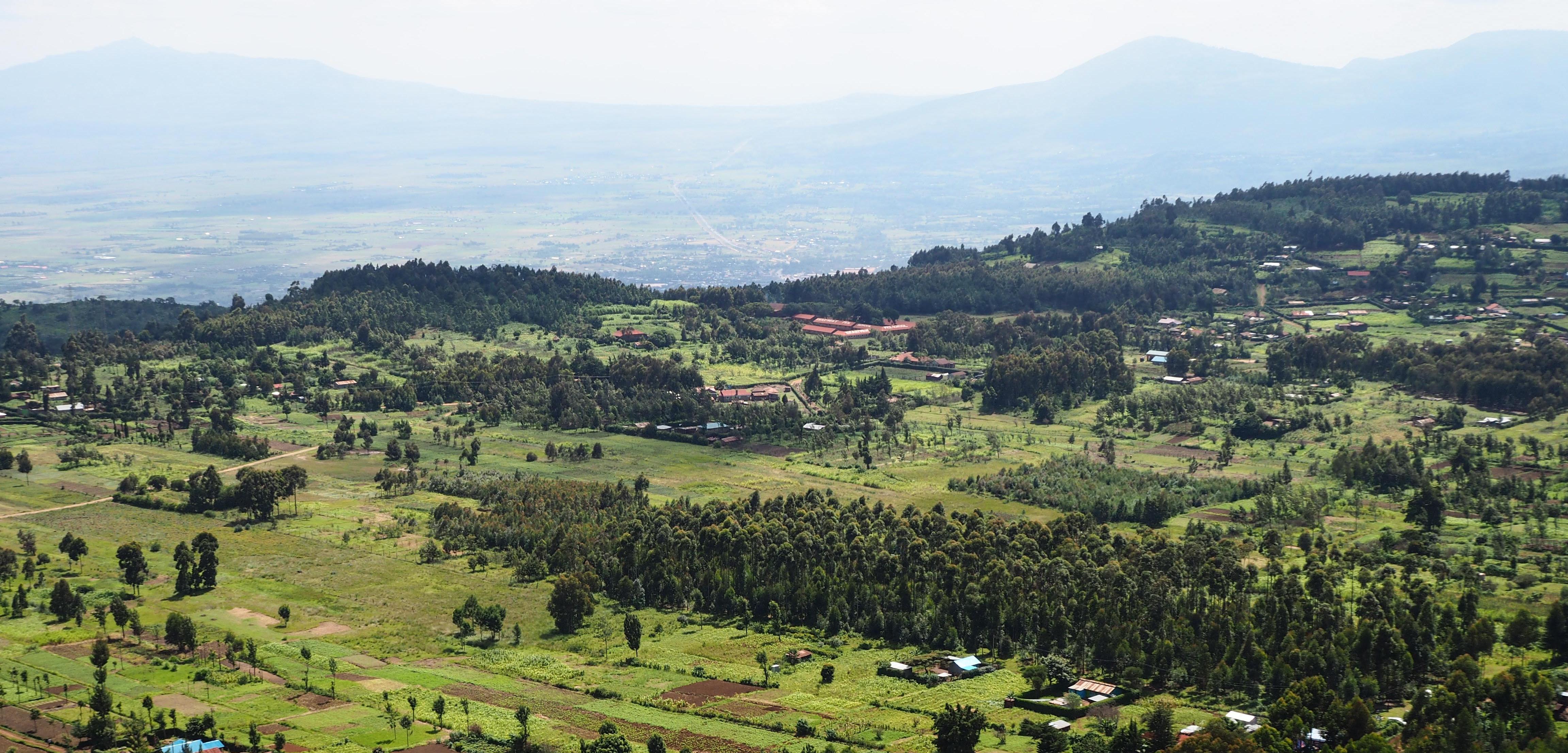 Supporting Sustainable Private Forestry in Kenya