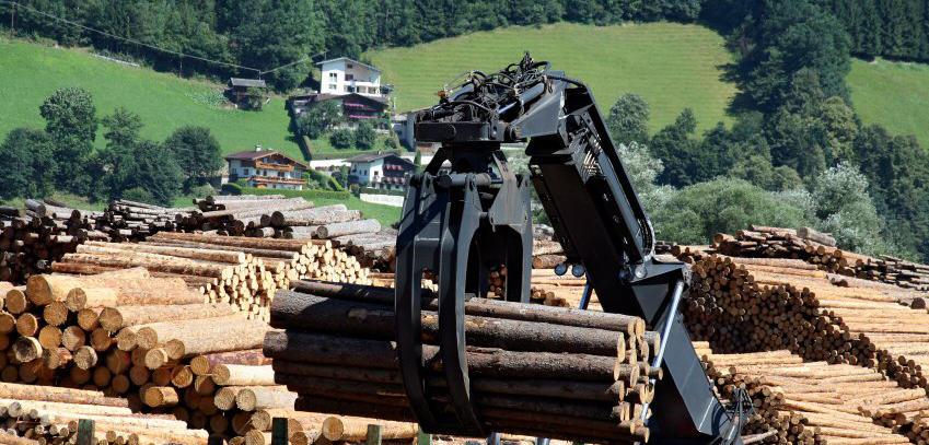 SWOT-analysis of the forest and timber cluster in Baden-Württemberg